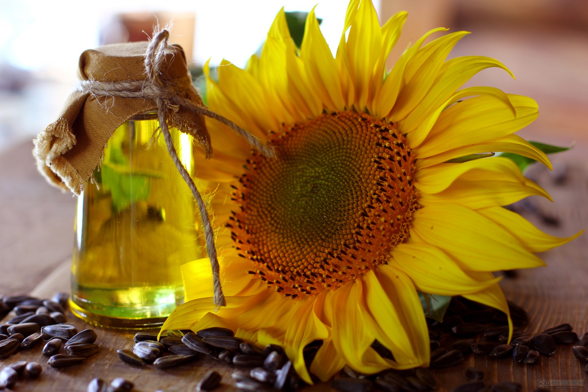 Comparing Olive Oil to Other Cooking Oils (image credits: wikimedia)