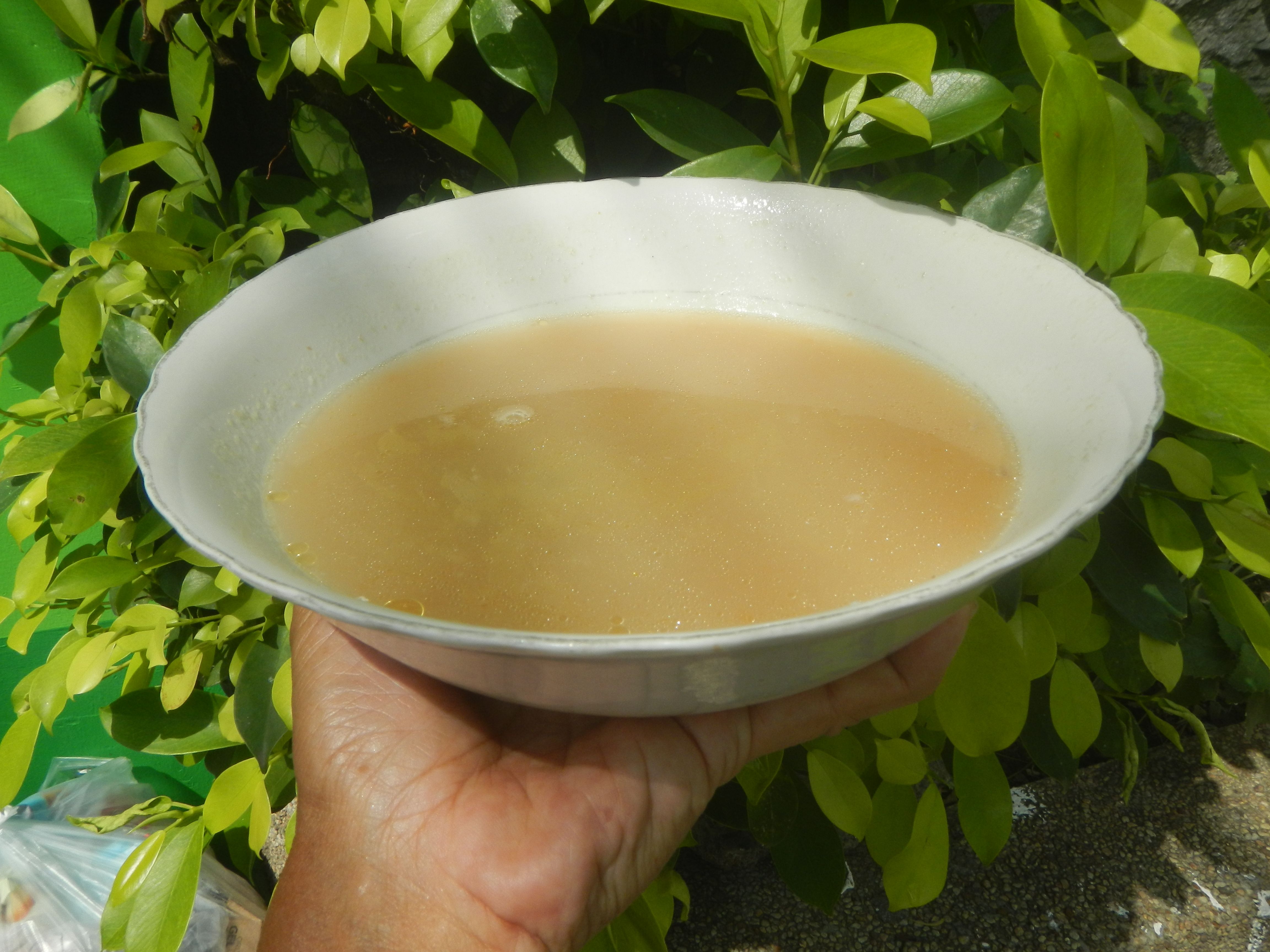 Tamarind in Traditional Medicine (image credits: wikimedia)