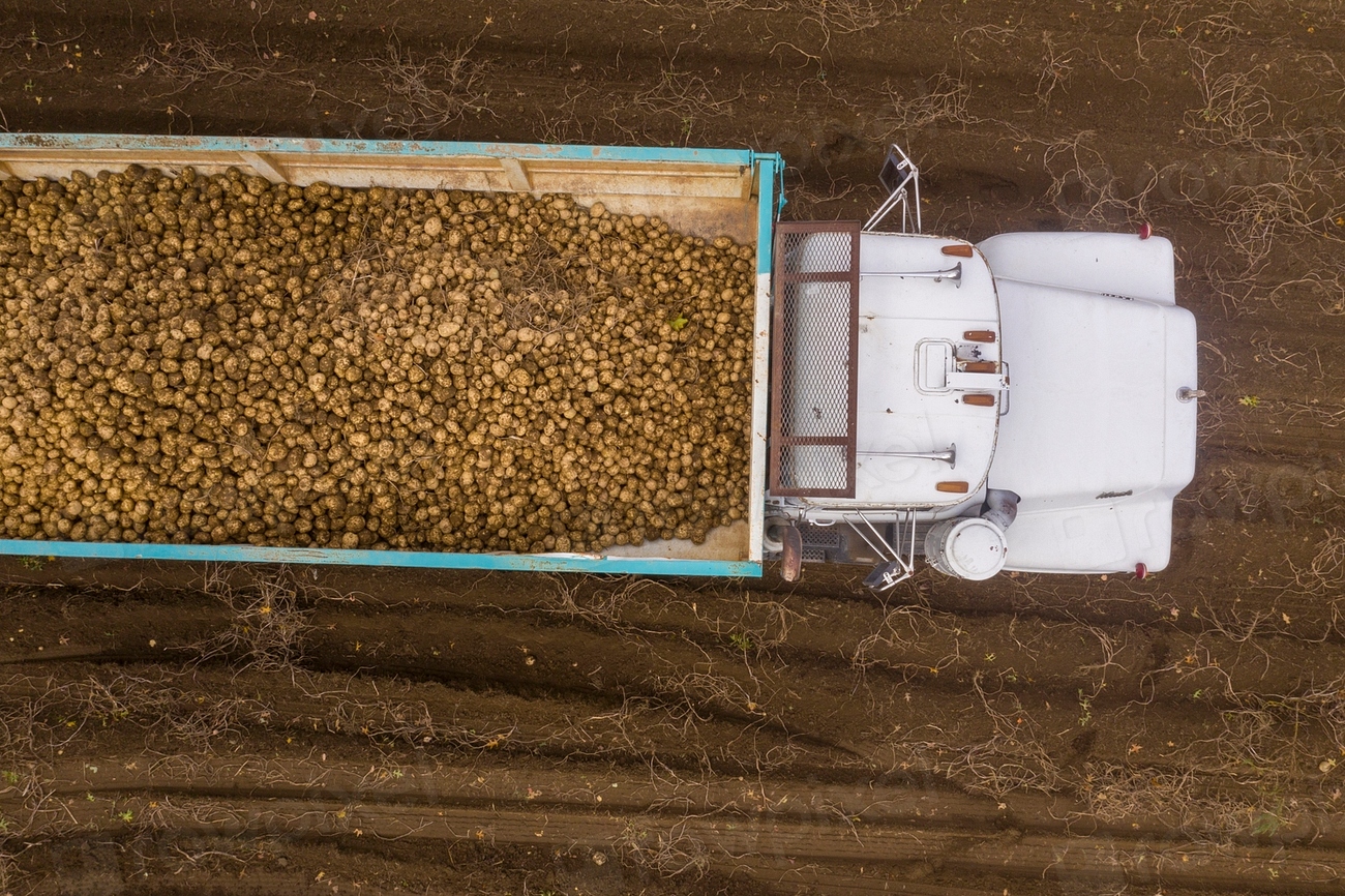 Environmental and Sustainability Concerns (image credits: rawpixel)