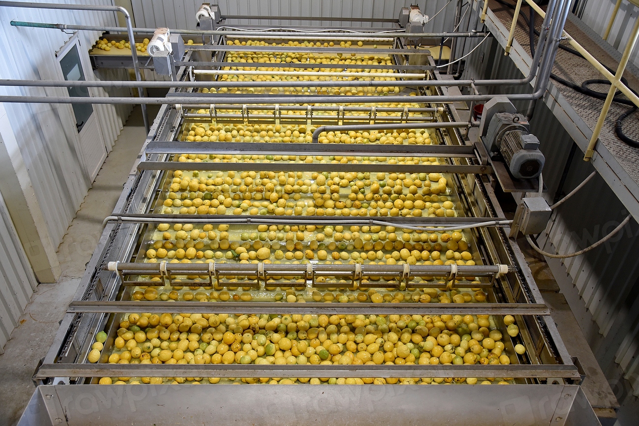 Economic Implications for Food Industries (image credits: rawpixel)