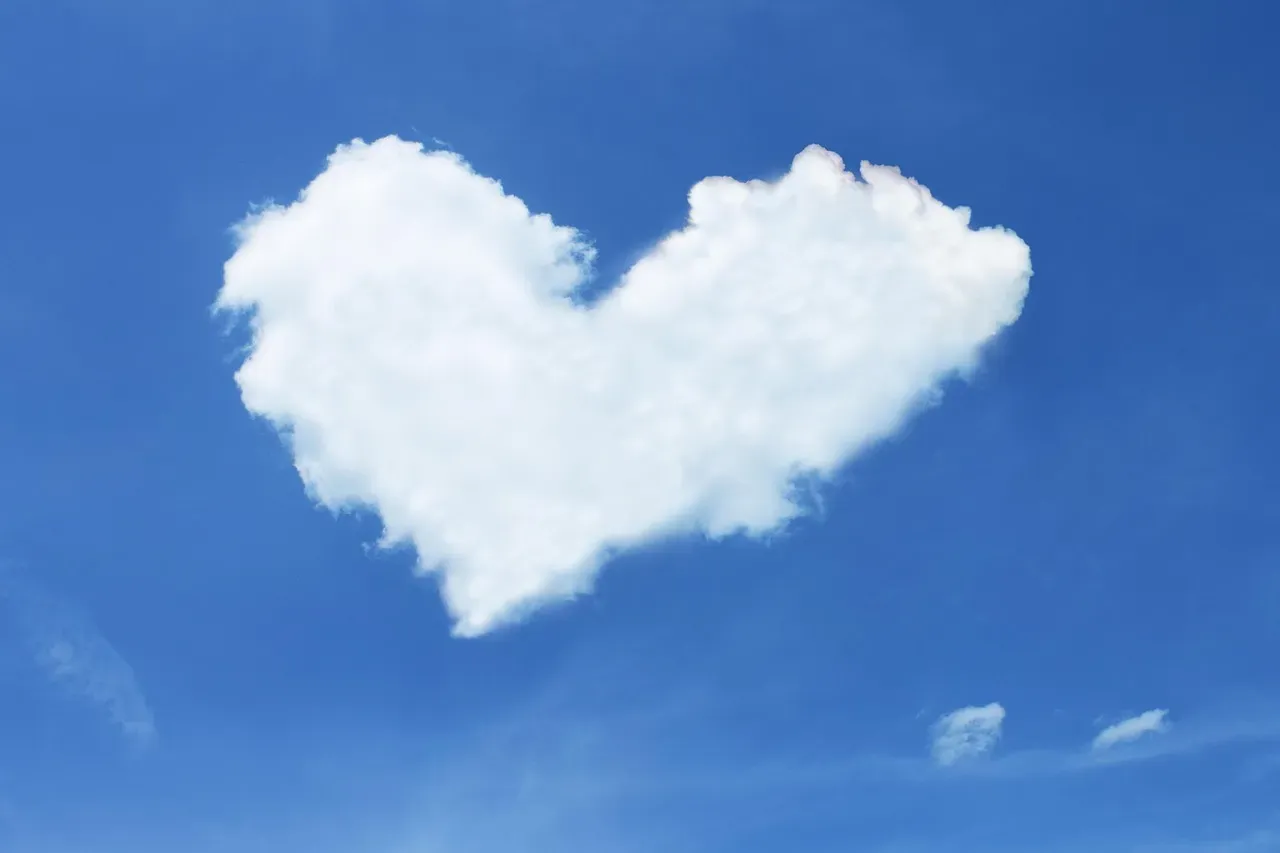 What the Loyalty Ranking Actually Tells Us (Image Credits: Pixabay)