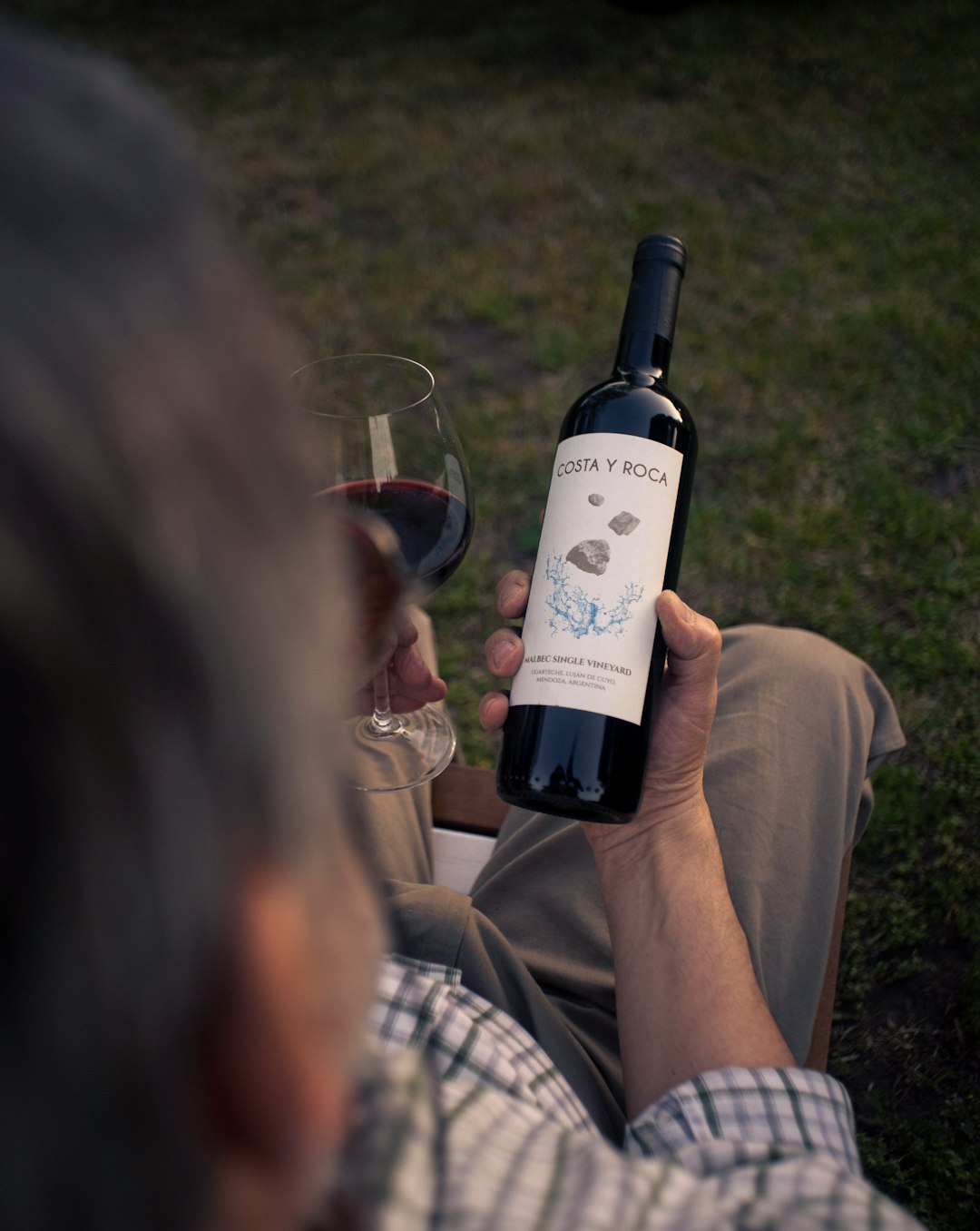 5. Wine Woes: A Toast to Change (image credits: unsplash)