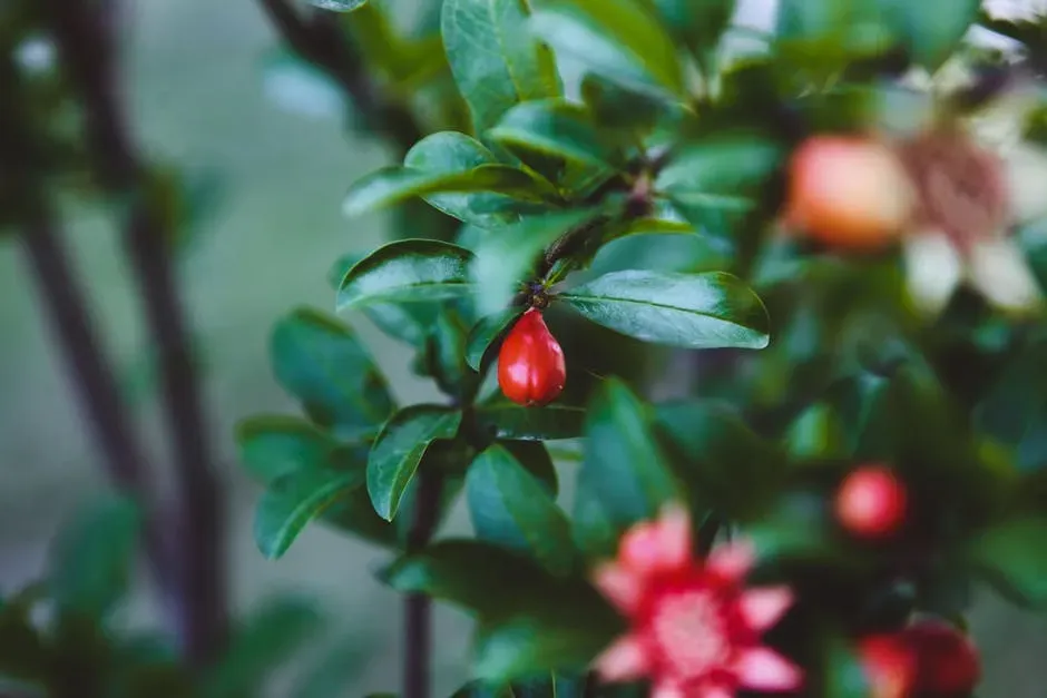 Its Legal Status Today (Image Credits: Pexels)