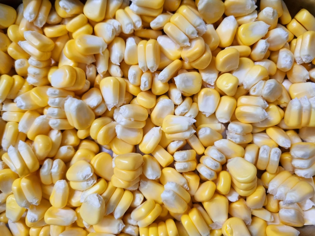Corn: The Vegetable That Acts Like Sugar (image credits: unsplash)