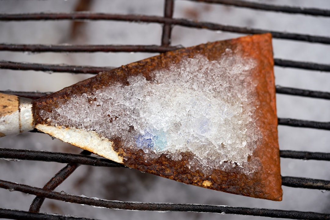 Frozen Prepared Meals Past Their Prime (image credits: unsplash)