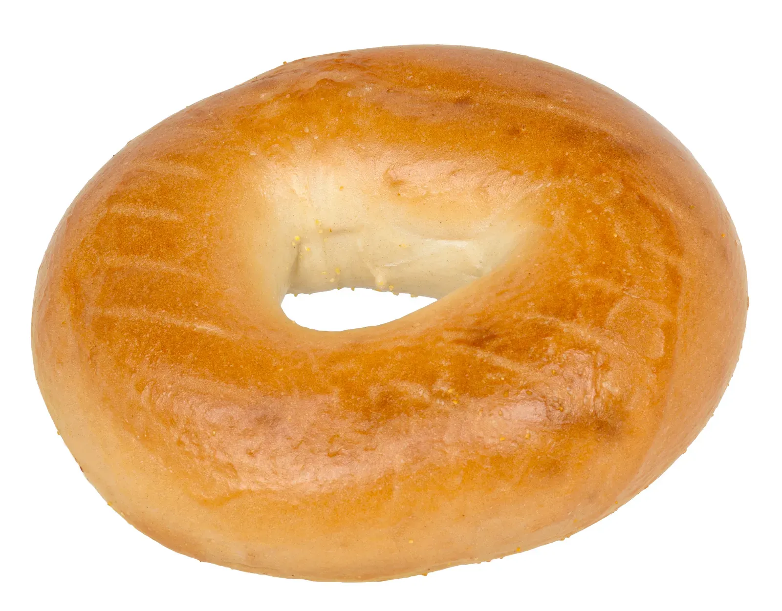 Plain Bagels (Image Credits: Wikimedia)