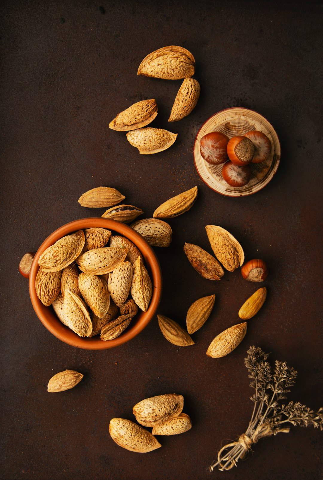 The Nut Kingdom's Nutritional Truth (image credits: unsplash)