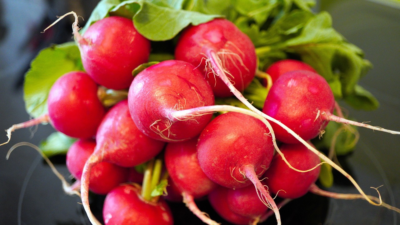 Radishes: Peppery Little Powerhouses (image credits: pixabay)