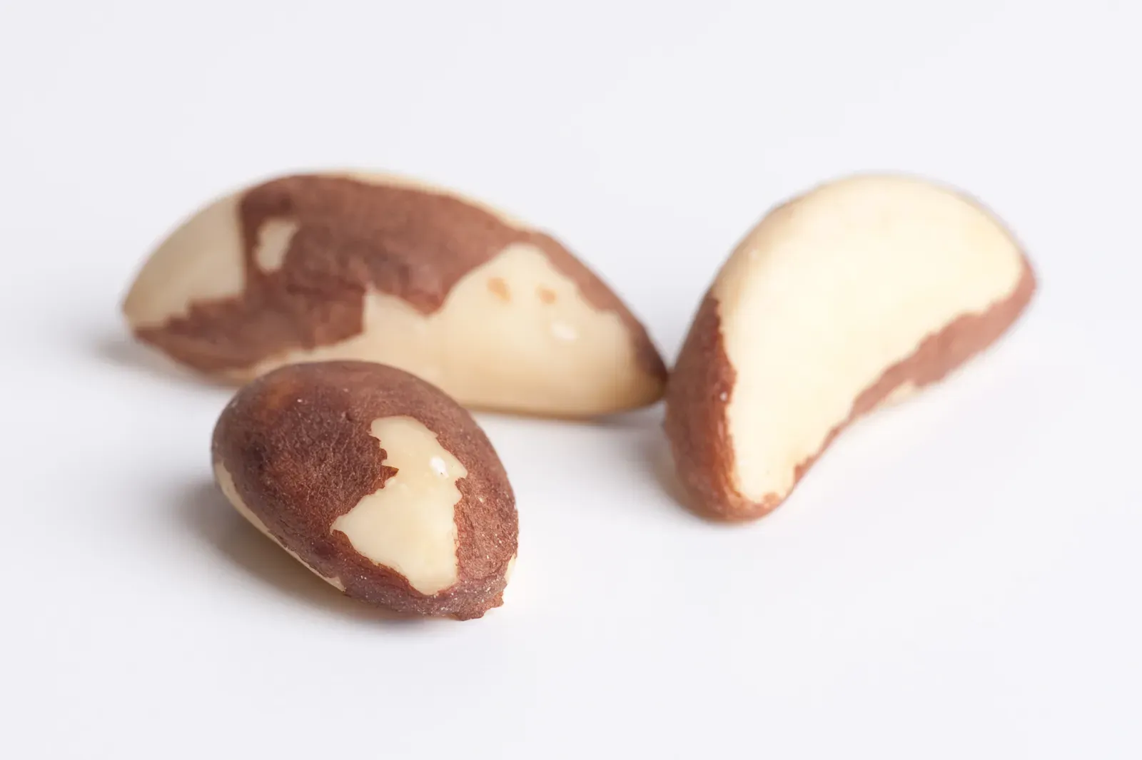 4. Brazil Nuts - The Selenium Powerhouse You Should Eat Carefully (By רנדום, CC BY-SA 3.0)