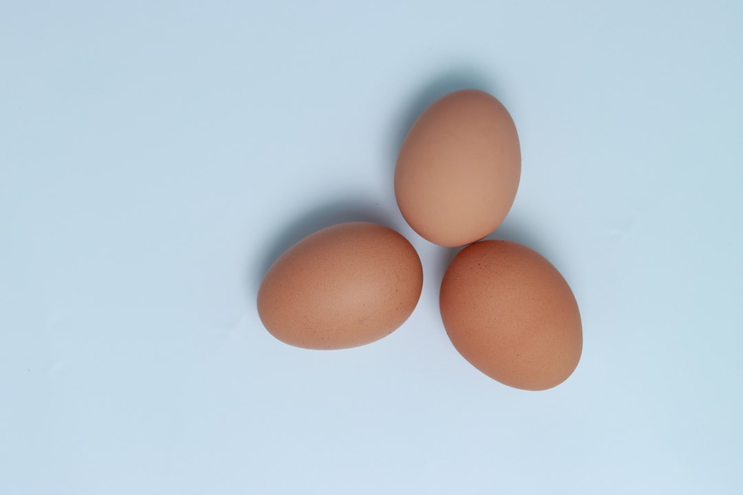 Eggs: Nature’s Protein Package (image credits: unsplash)