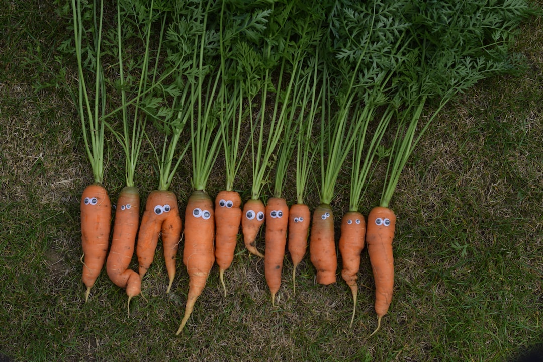 Carrots: The Orange Wizards of Resilience (image credits: unsplash)