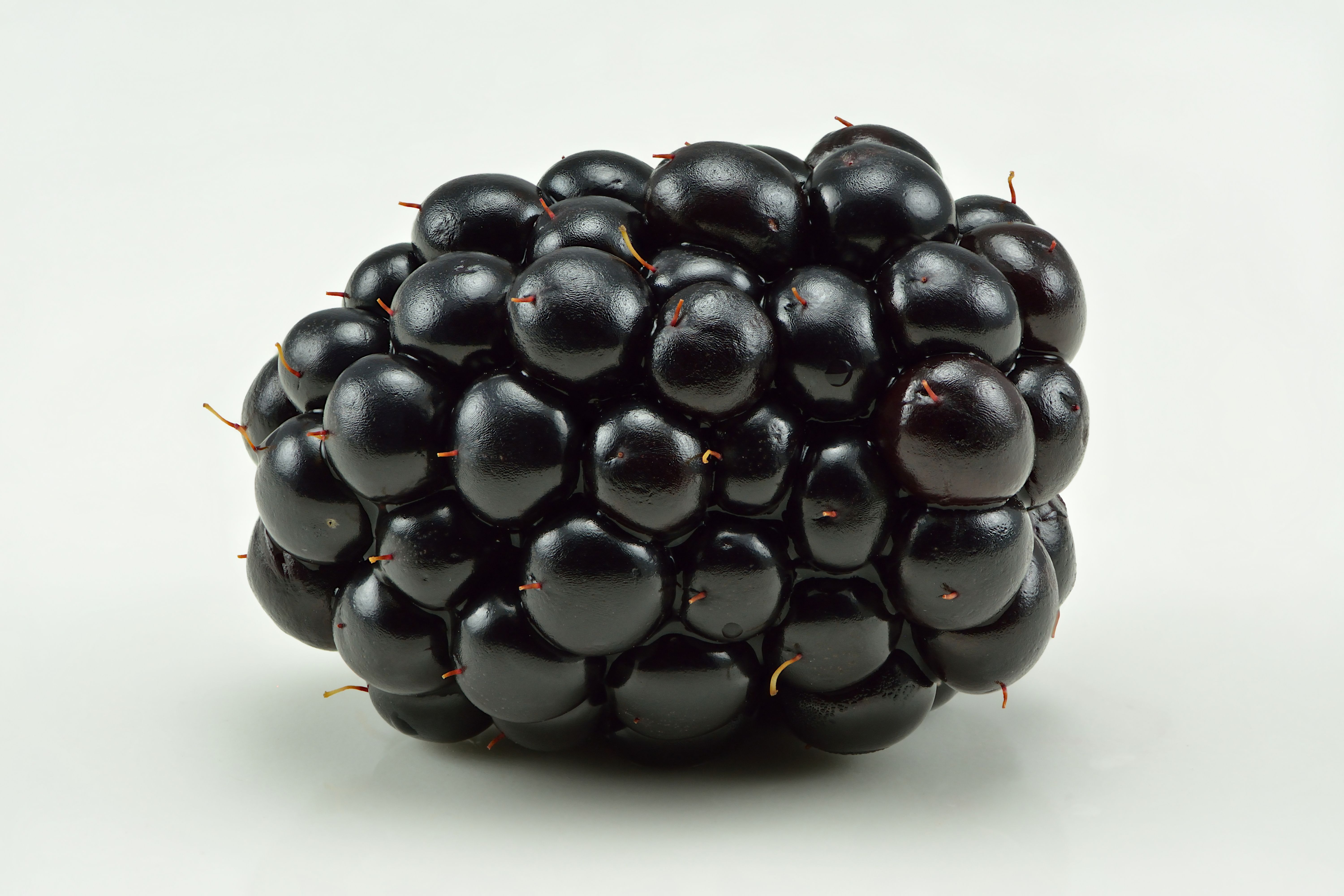 Blackberries (Polyphenol Powerhouse) (image credits: wikimedia)