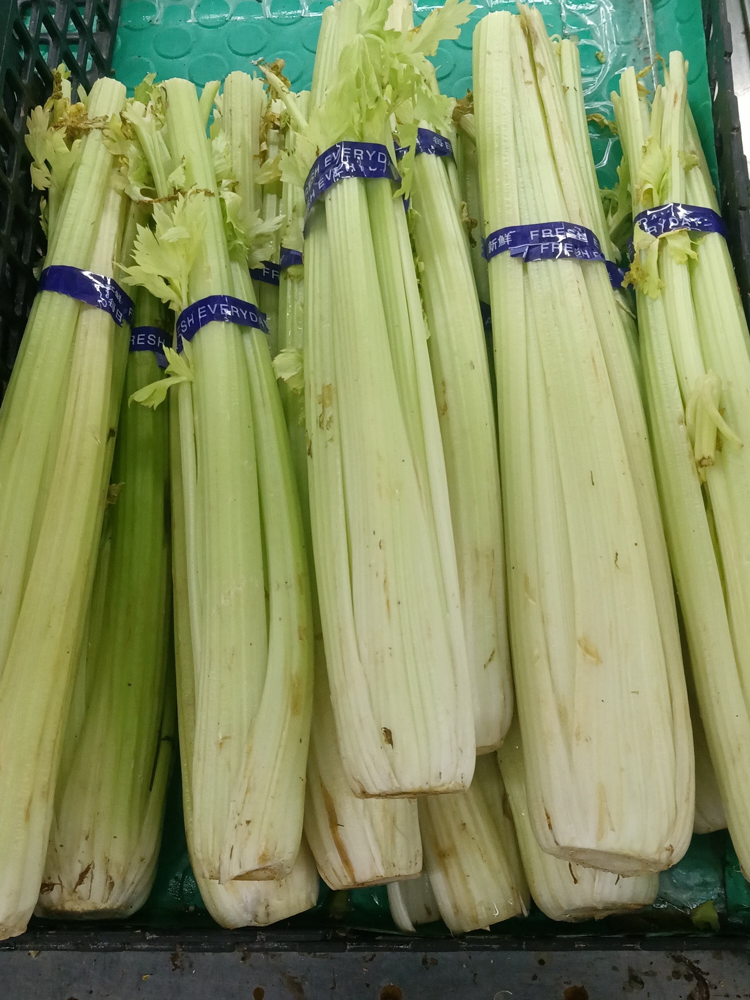Celery: Crunchy and Hydrating (image credits: wikimedia)