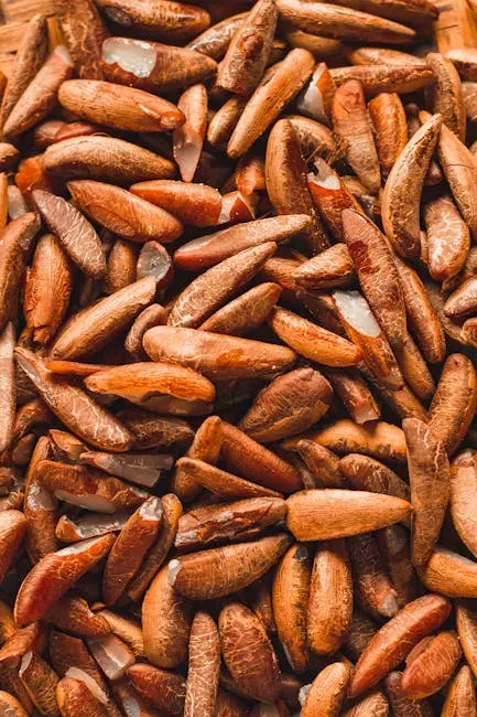3. Pine Nuts - Small but Loaded With Fat and Unique Compounds (Image Credits: Pexels)