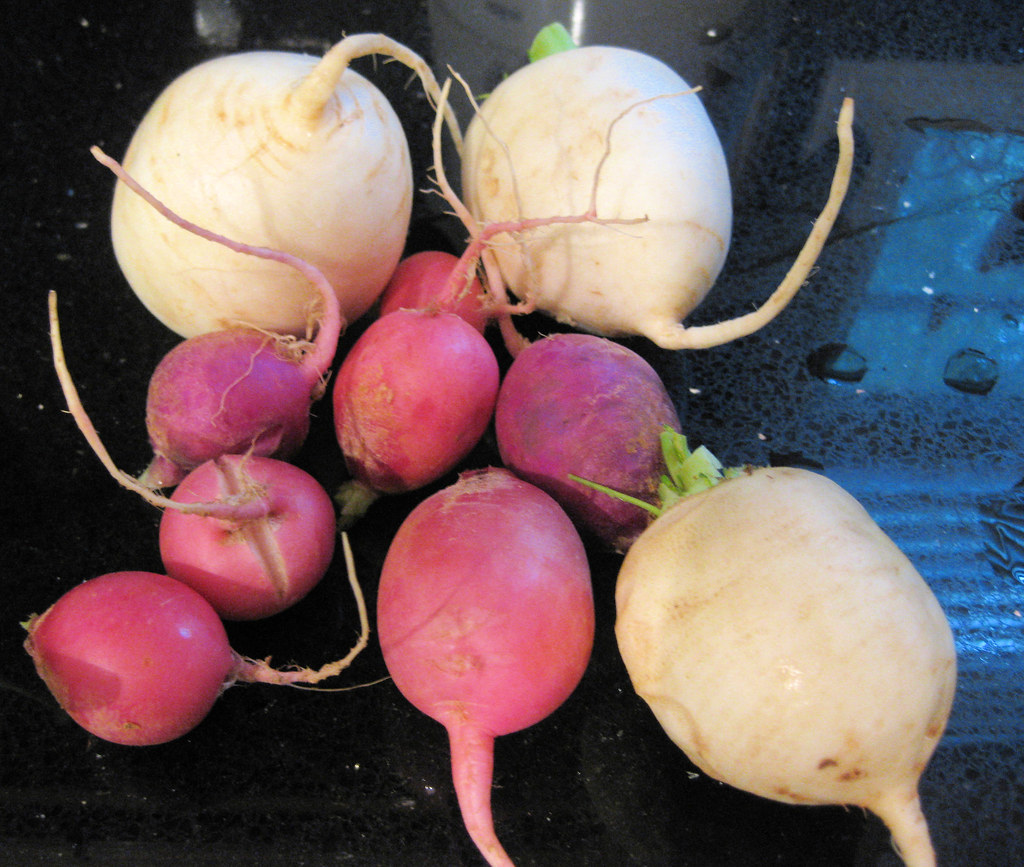 Turnips and Radishes - The Sharp Underground Rebels (image credits: flickr)
