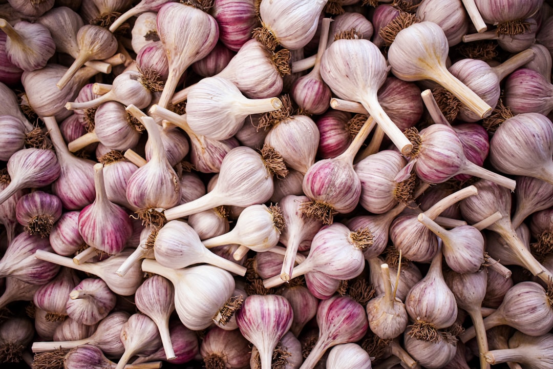 From Sacred Currency to Slave Rations (image credits: unsplash)