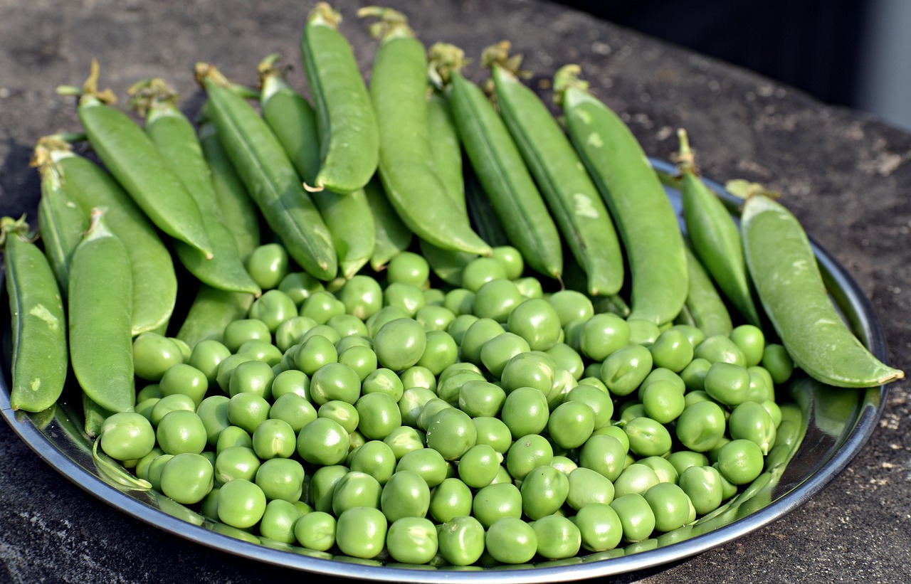 Green Peas (image credits: pixabay)
