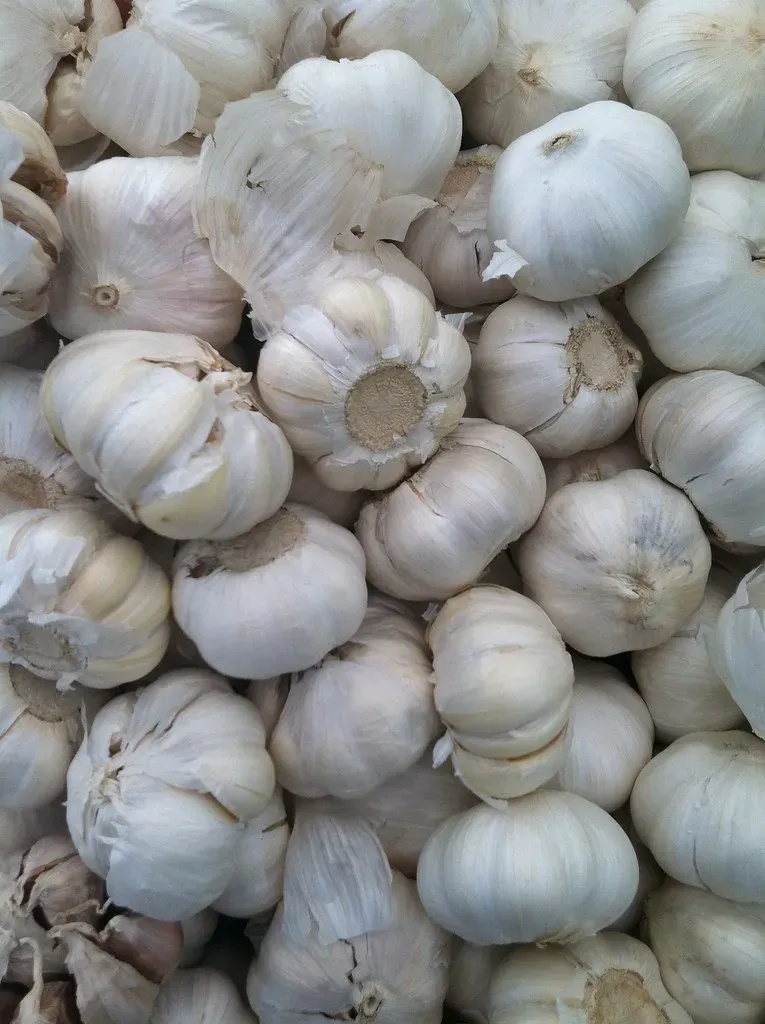 Sulfur-Rich Vegetables Actually Mellow Out (Image Credits: Flickr)