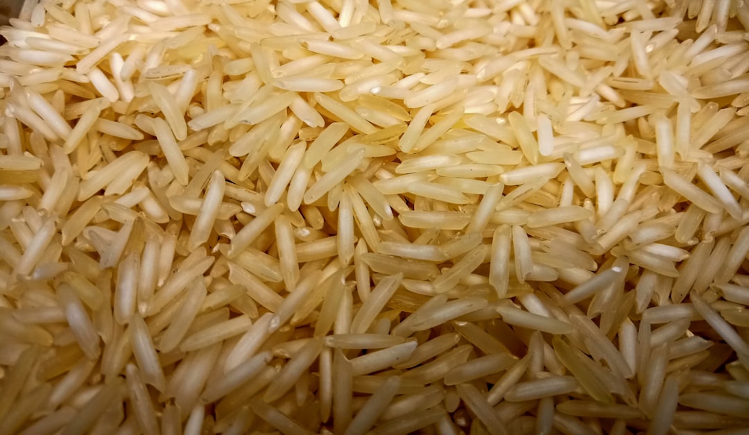 Fried Rice (No Spices) (image credits: unsplash)