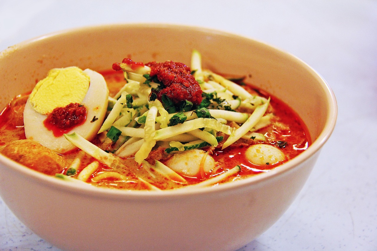 Malaysian Laksa - The Spicy Fusion That Defines Southeast Asia (image credits: pixabay)