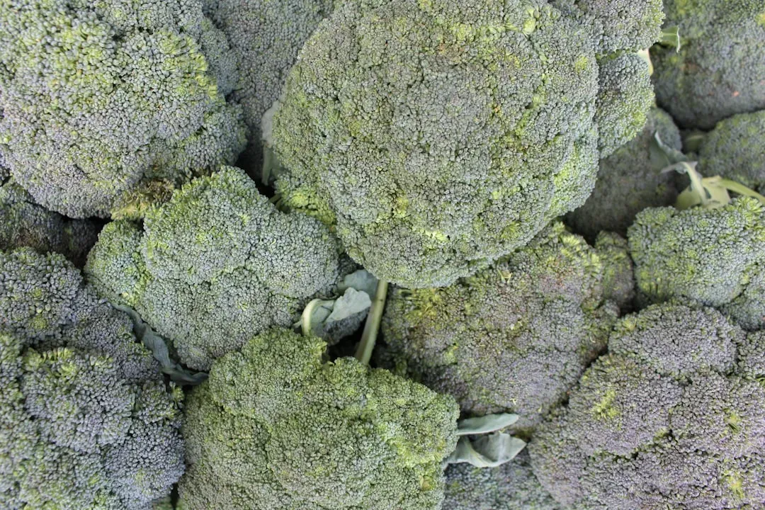 10. Broccoli - Healthy, Loved, and Quietly Disruptive (Image Credits: Unsplash)
