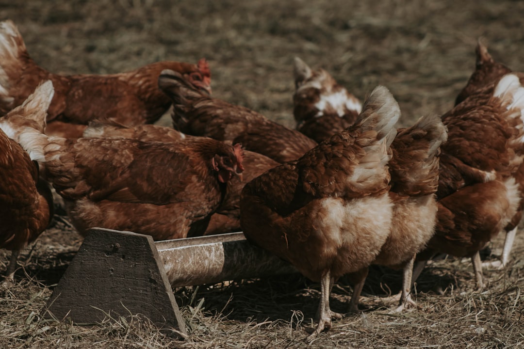 The Numbers Behind the Phenomenon (Image Credits: Unsplash)