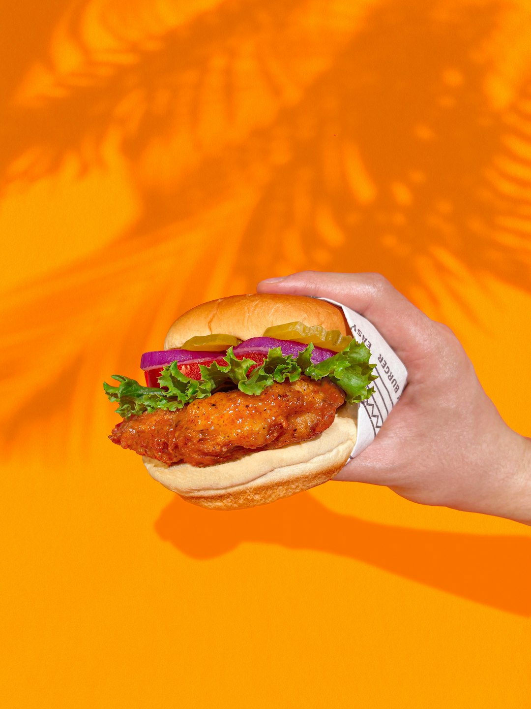 Popeyes Spicy Chicken Sandwich - The Revolution Starter (image credits: unsplash)