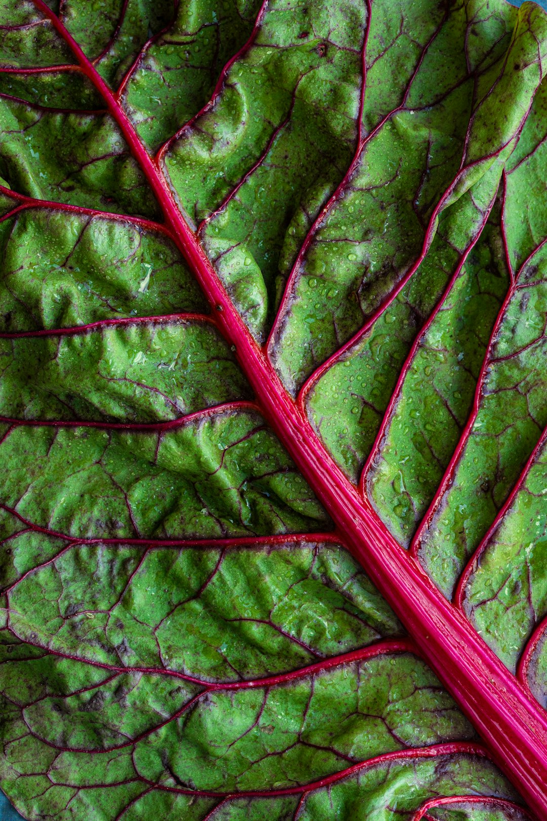Leafy Greens: Nature’s Calcium Powerhouses (image credits: unsplash)
