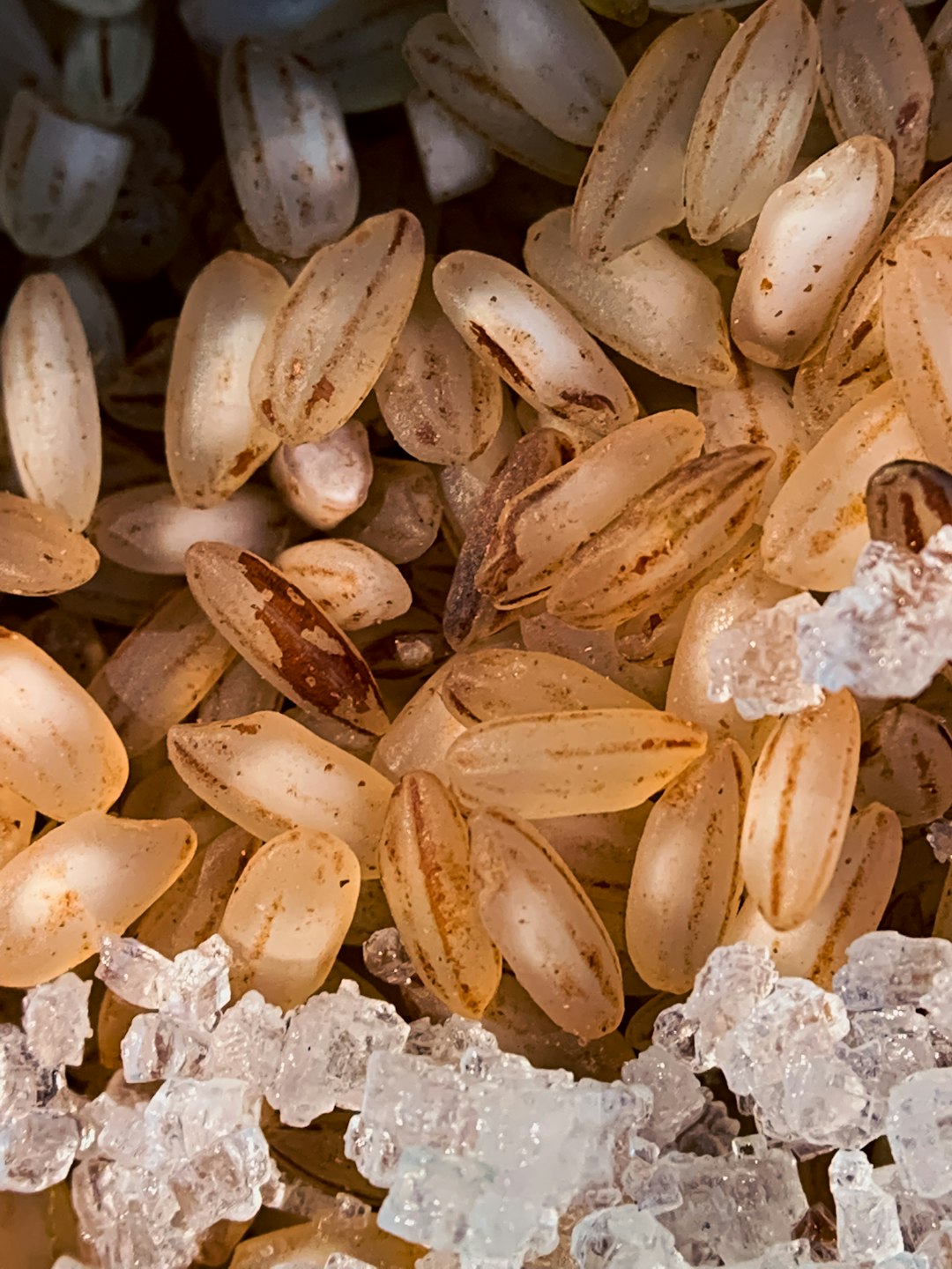 Nuts and Seeds - The Phosphorus Bombs (image credits: unsplash)