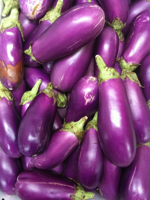 Eggplant (image credits: flickr)