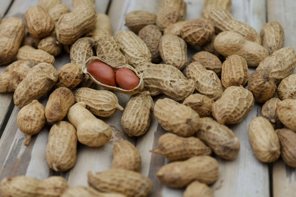 Neglecting Protein (image credits: rawpixel)