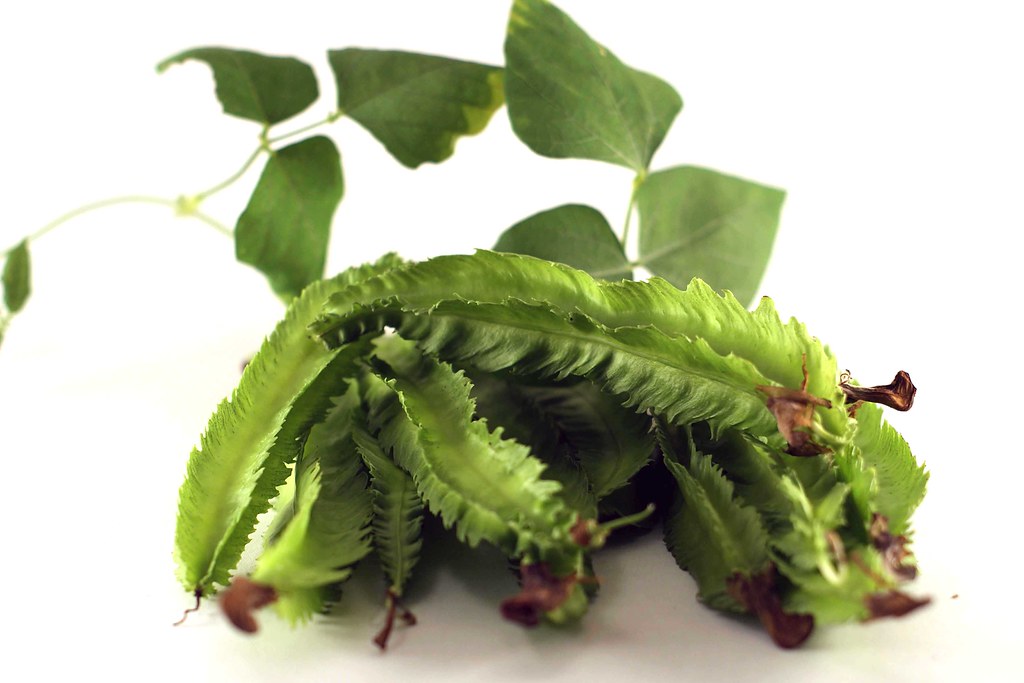 The Overlooked Champions: Winged Beans (image credits: flickr)