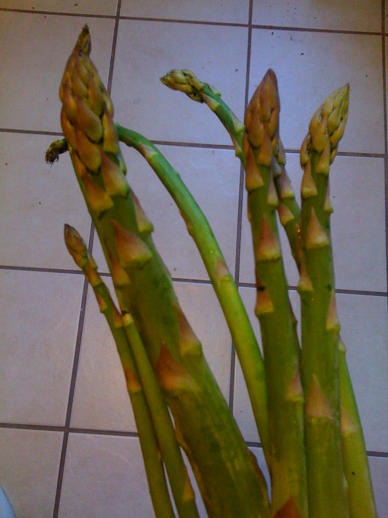 The Restaurant Industry's Misleading Influence (image credits: flickr)