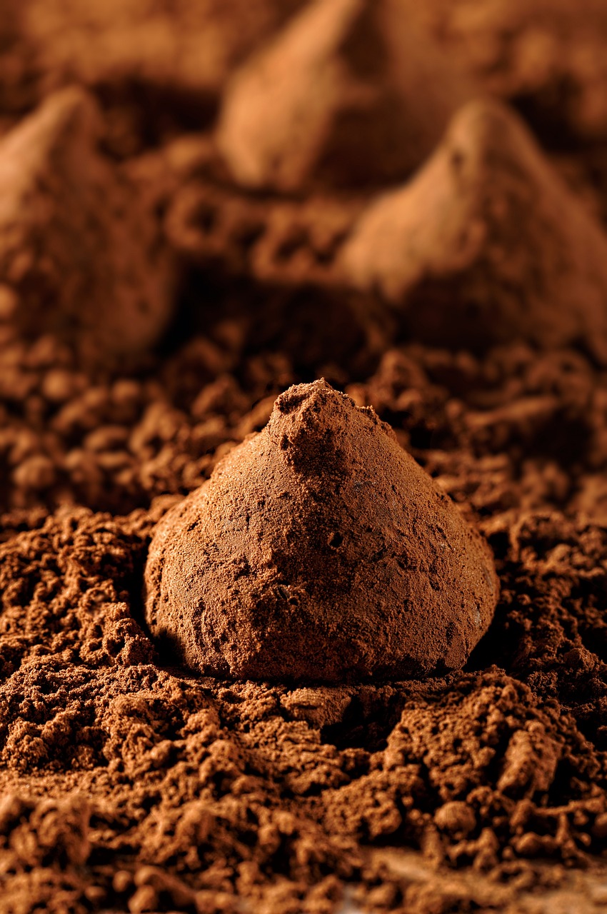 From Bean to Powder: The Journey of Cocoa (image credits: pixabay)