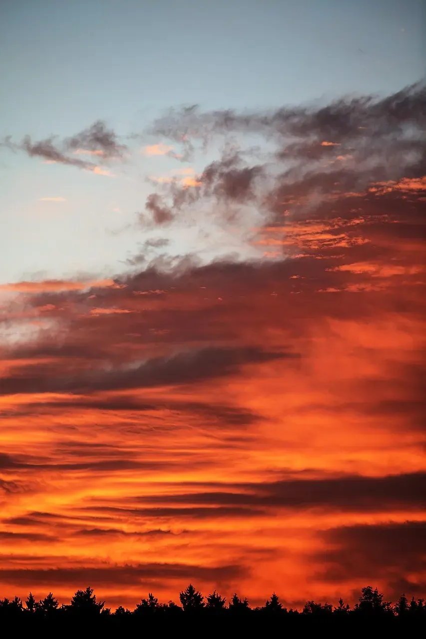 Morning Larks and Night Owls: The Chronotype Connection (Image Credits: Pixabay)