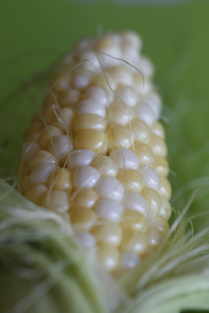 Myth: You Should Avoid Carbs to Lose Weight (image credits: flickr)