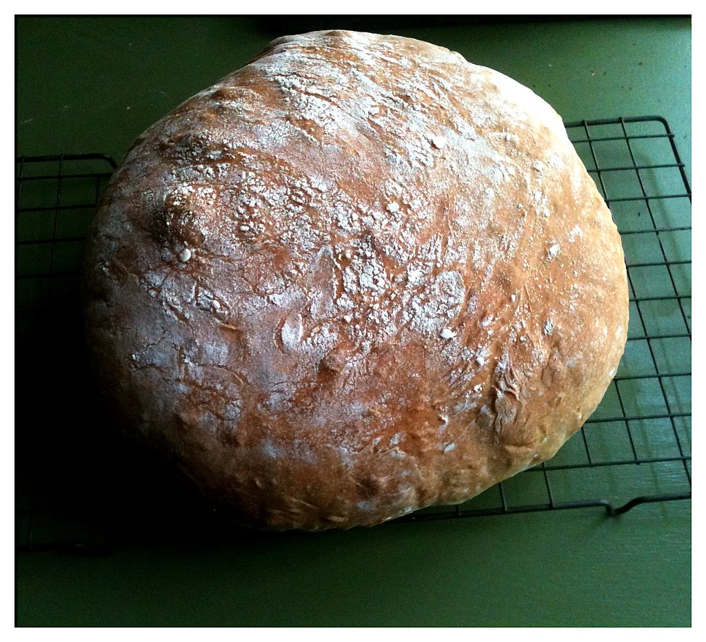 Organic Bread and Refined Flour (image credits: flickr)