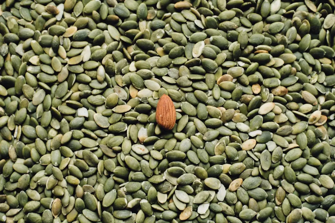 1. Pumpkin Seeds - The Undisputed Magnesium Champion (Image Credits: Unsplash)