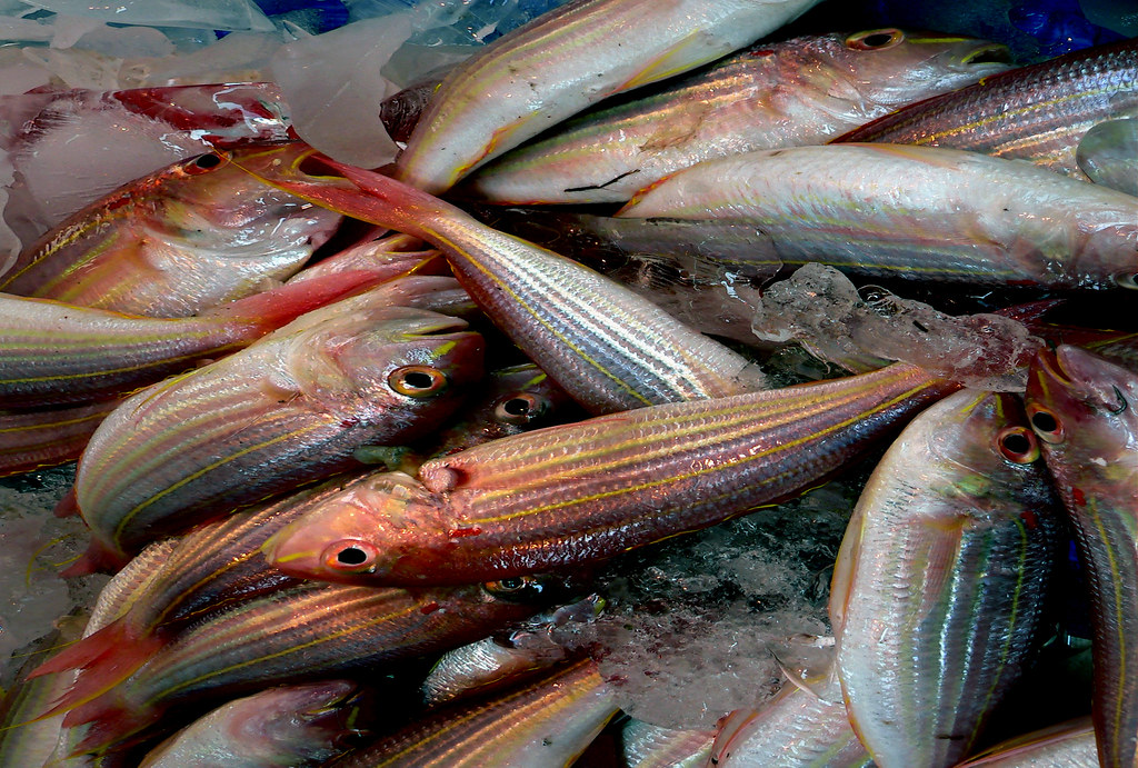 Fresh Fish Counter: The Expensive Illusion of Freshness (image credits: flickr)