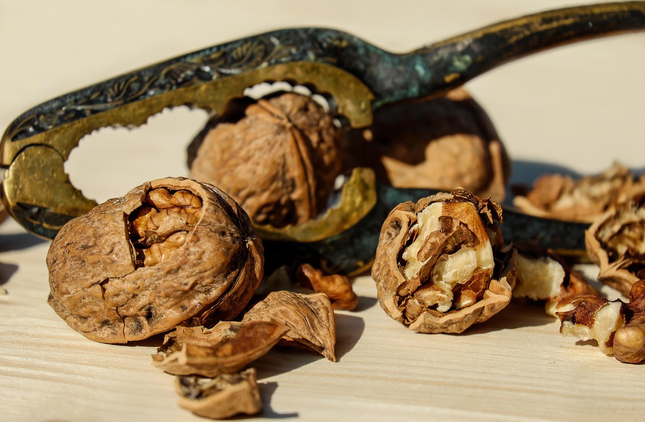 Walnuts (Image Credits: Pixabay)