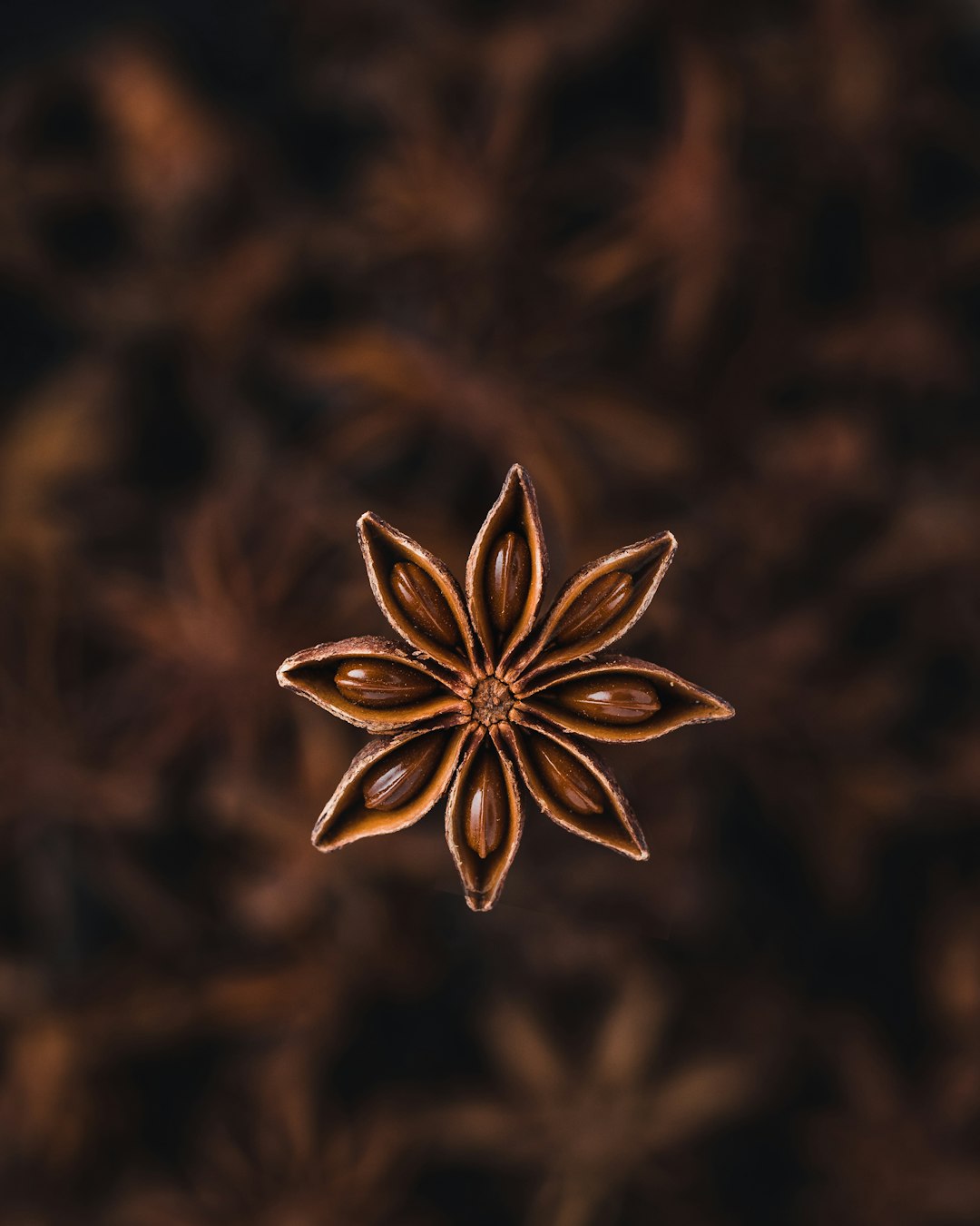Innovations in Processing and Distribution (image credits: unsplash)