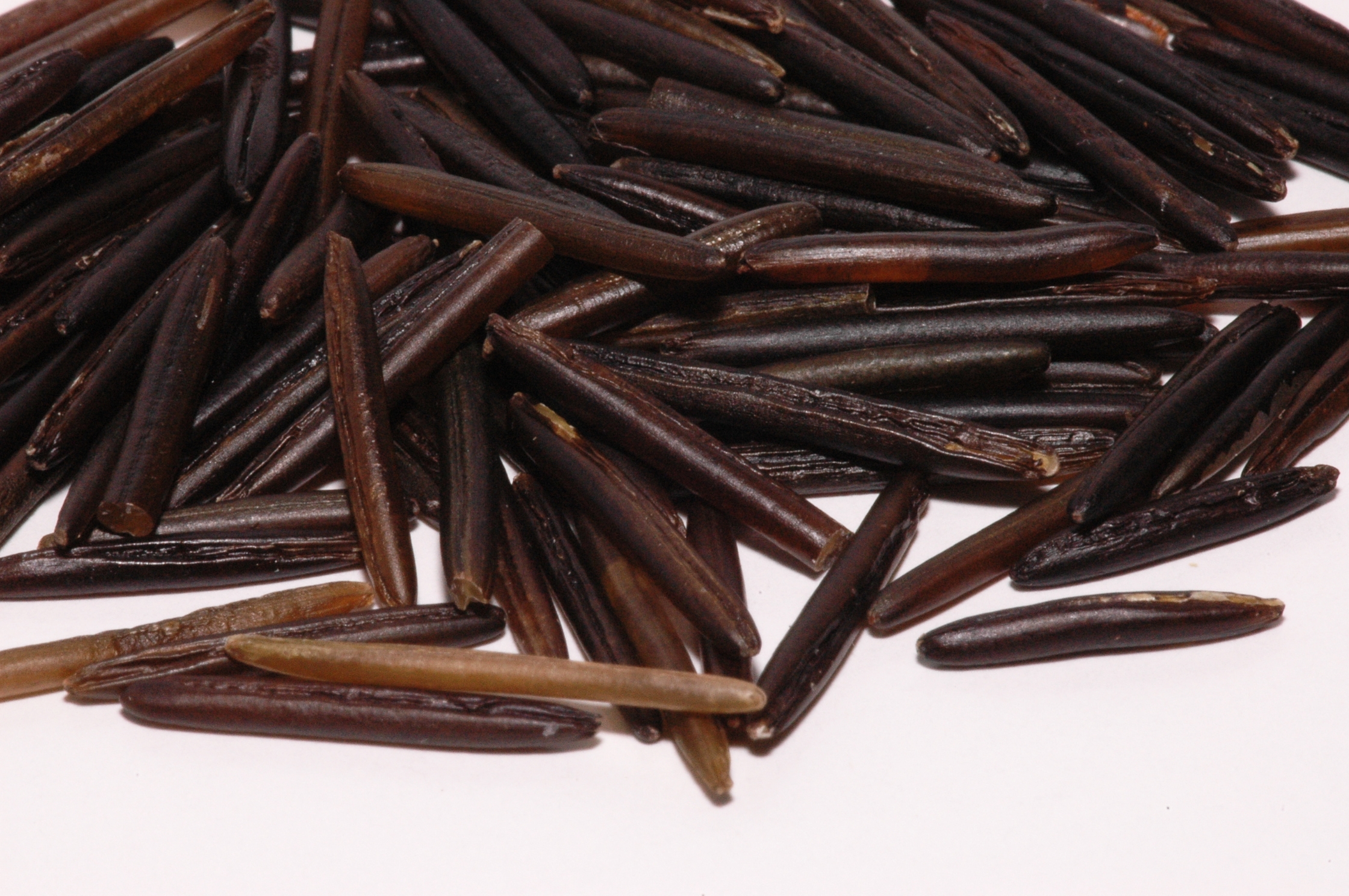 2. Wild Rice (image credits: wikimedia)