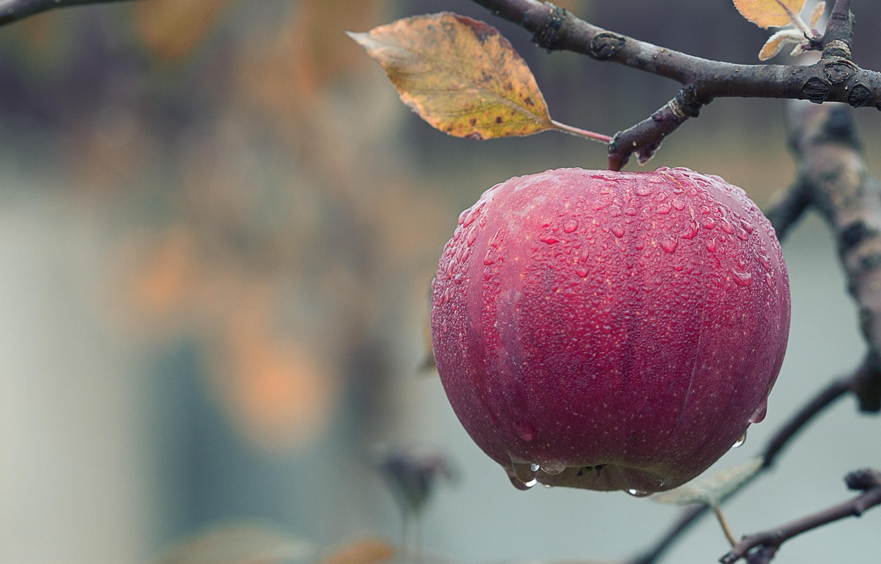 Apples: Quercetin King (image credits: pixabay)