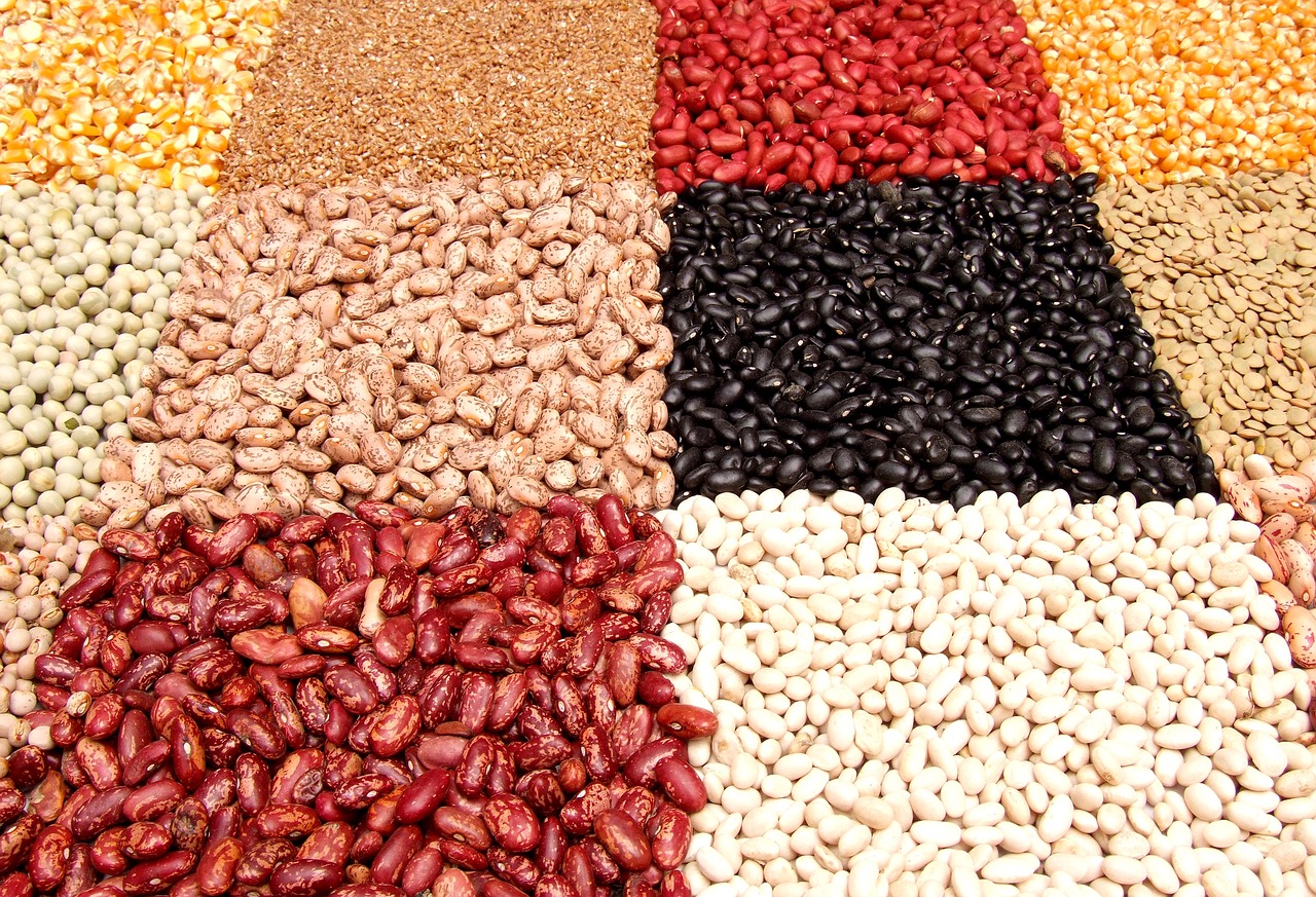 Beans and Lentils: Protein and Fiber Combo (image credits: pixabay)