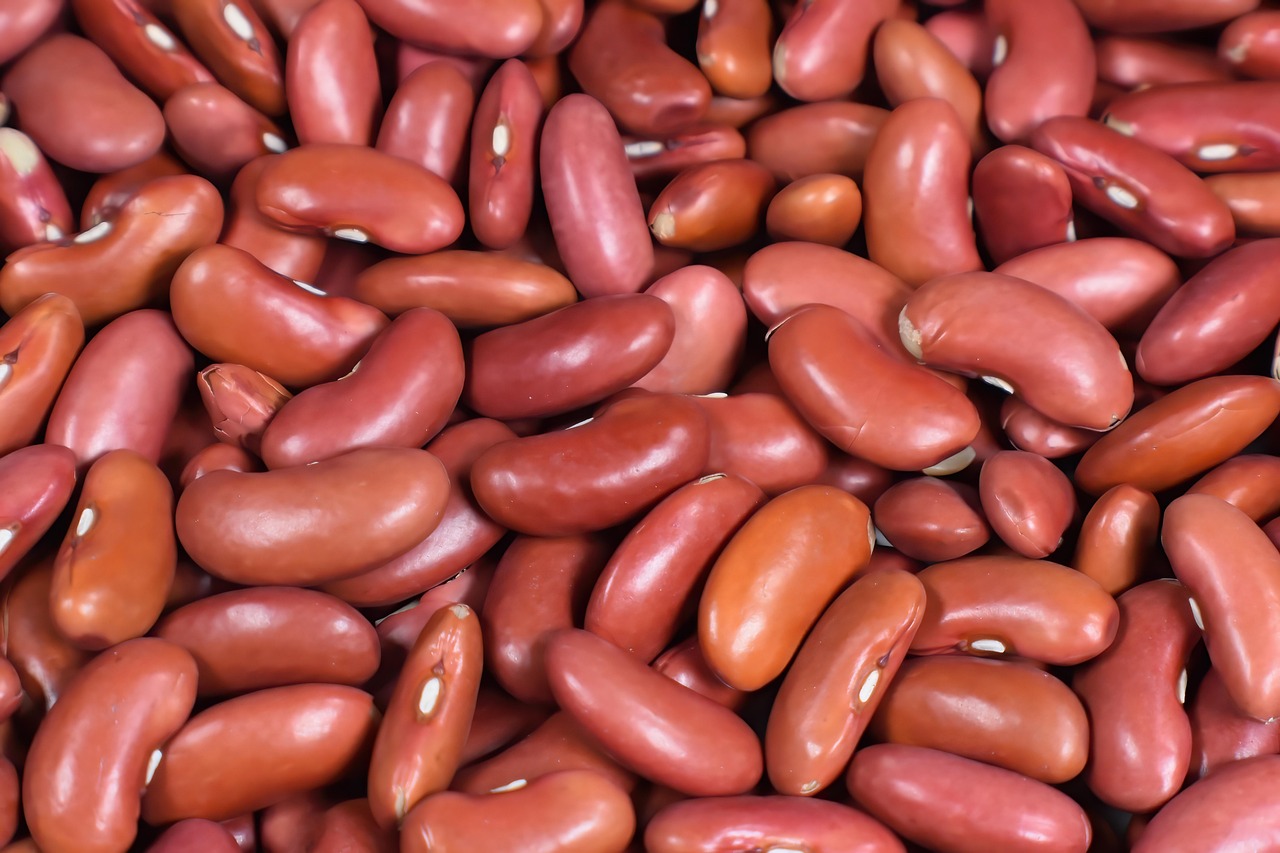 4. Kidney Beans: Heart-Healthy Legumes (image credits: pixabay)