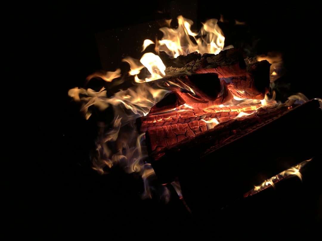 Black & Decker Infrawave Toasters - The Circuit Board Igniter (image credits: unsplash)