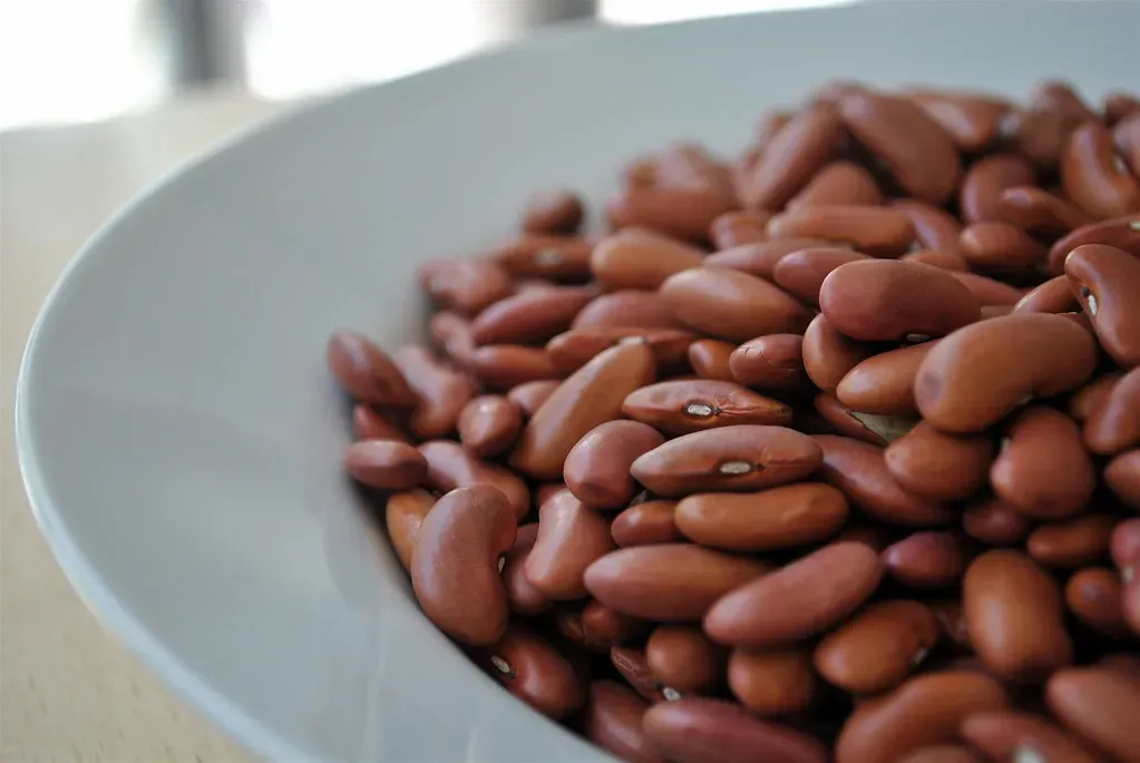 Dried Beans: The Overlooked Long-Term Champion (Image Credits: Flickr)
