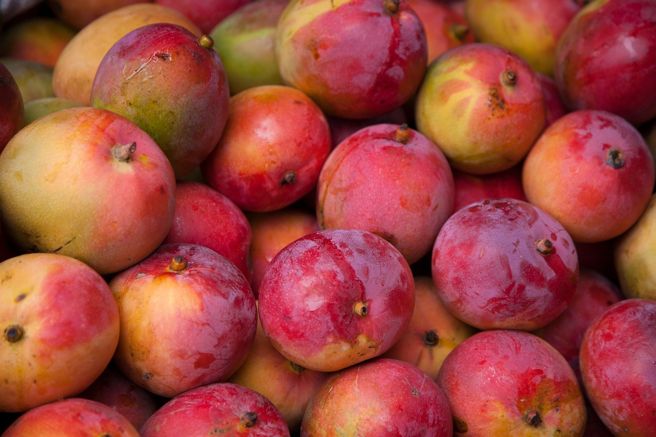Mangoes (image credits: pixabay)