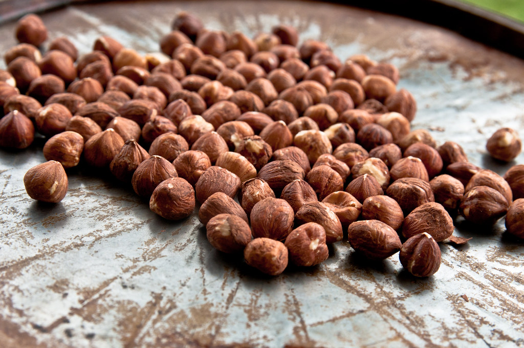 Hazelnuts: The Chocolate Companion (image credits: flickr)