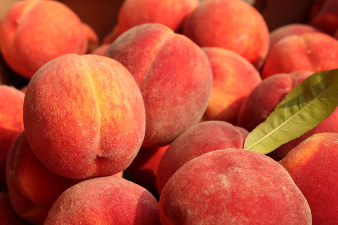 Stone Fruits Can't Ripen to Sweet Perfection (image credits: unsplash)